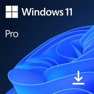 Microsoft Windows 11 Professional Activation Key